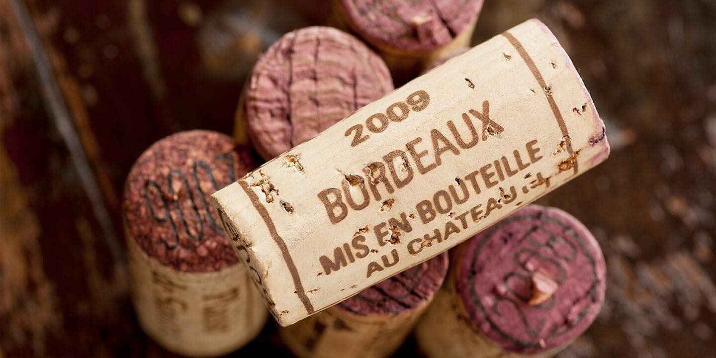 Saveurs, vignes et océan