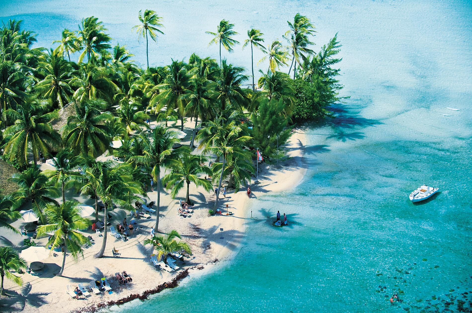 Perles des îles de la Société