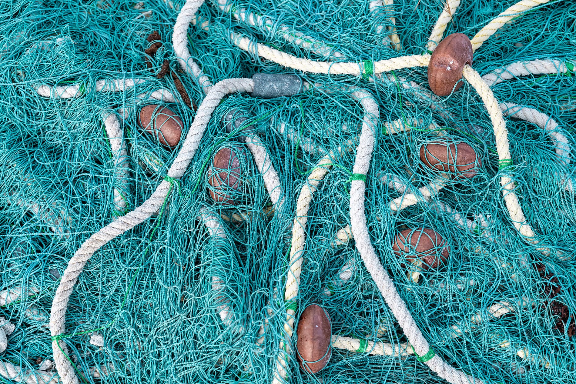 Les îles du Vent à fleur d'eau