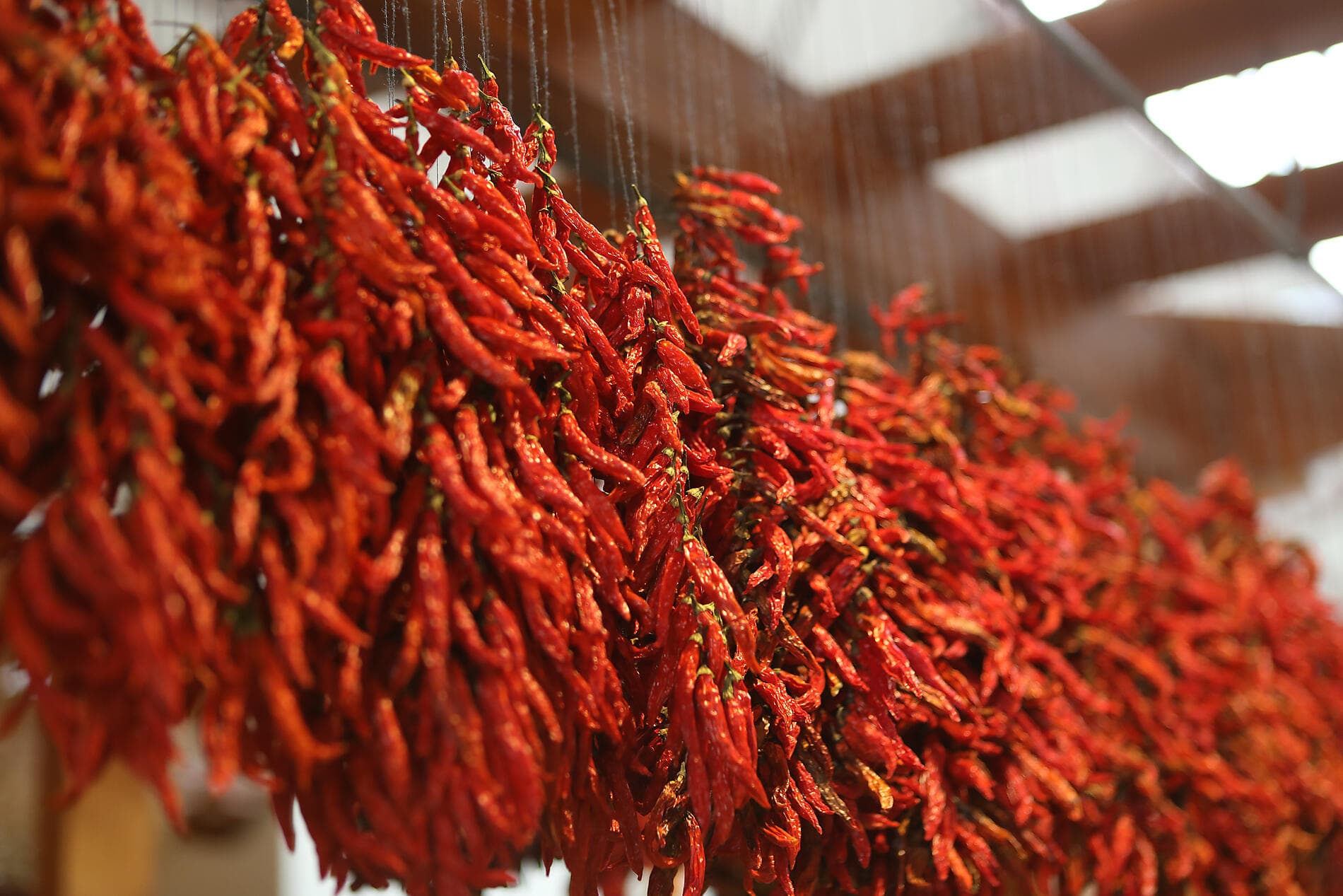 Odyssée atlantique de la péninsule ibérique aux Canaries  