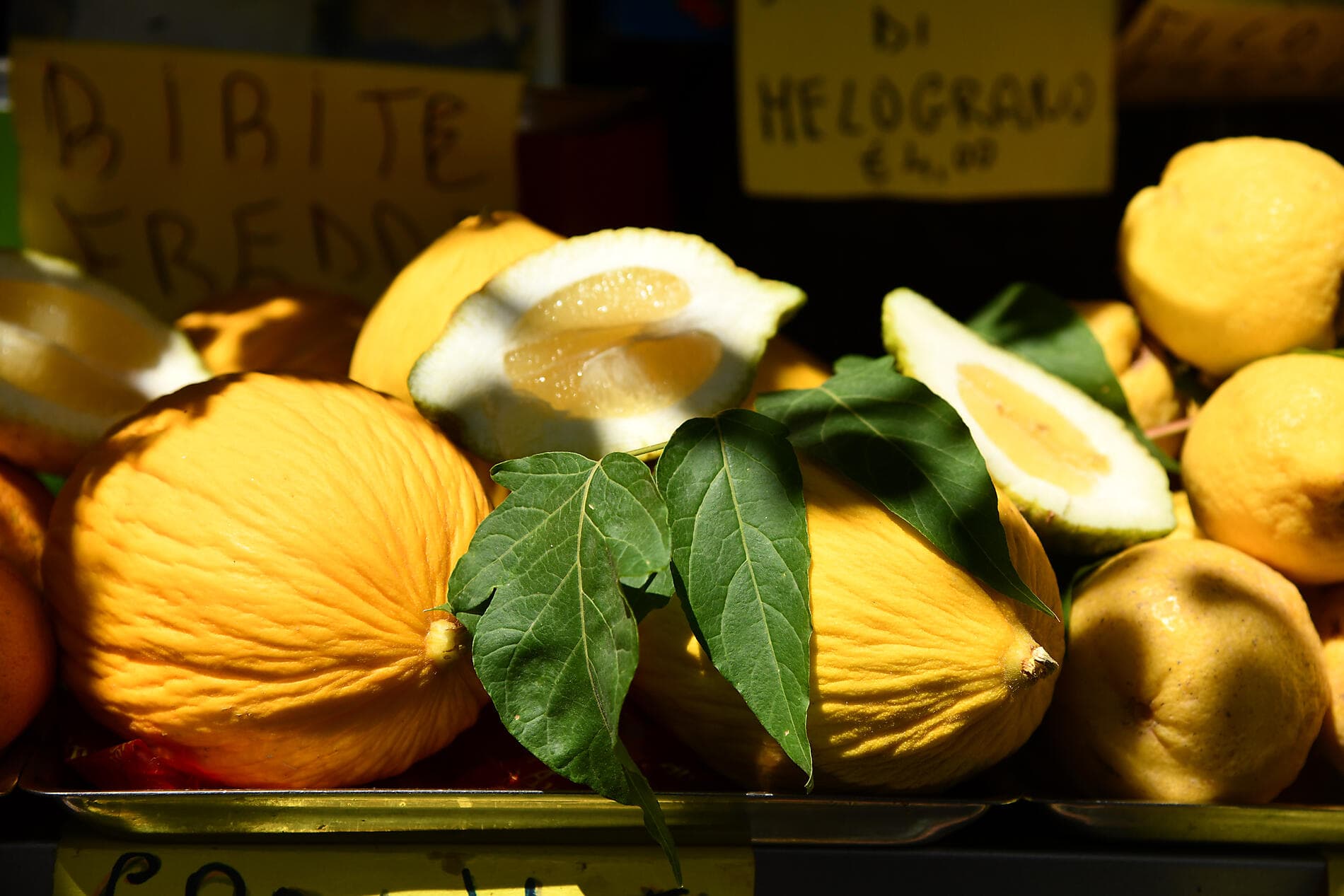 La Méditerranée : empreintes des grandes civilisations