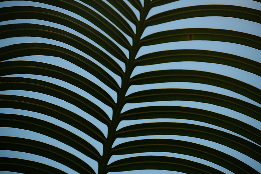 Séjour détente aux îles Fidji (1 nuit)