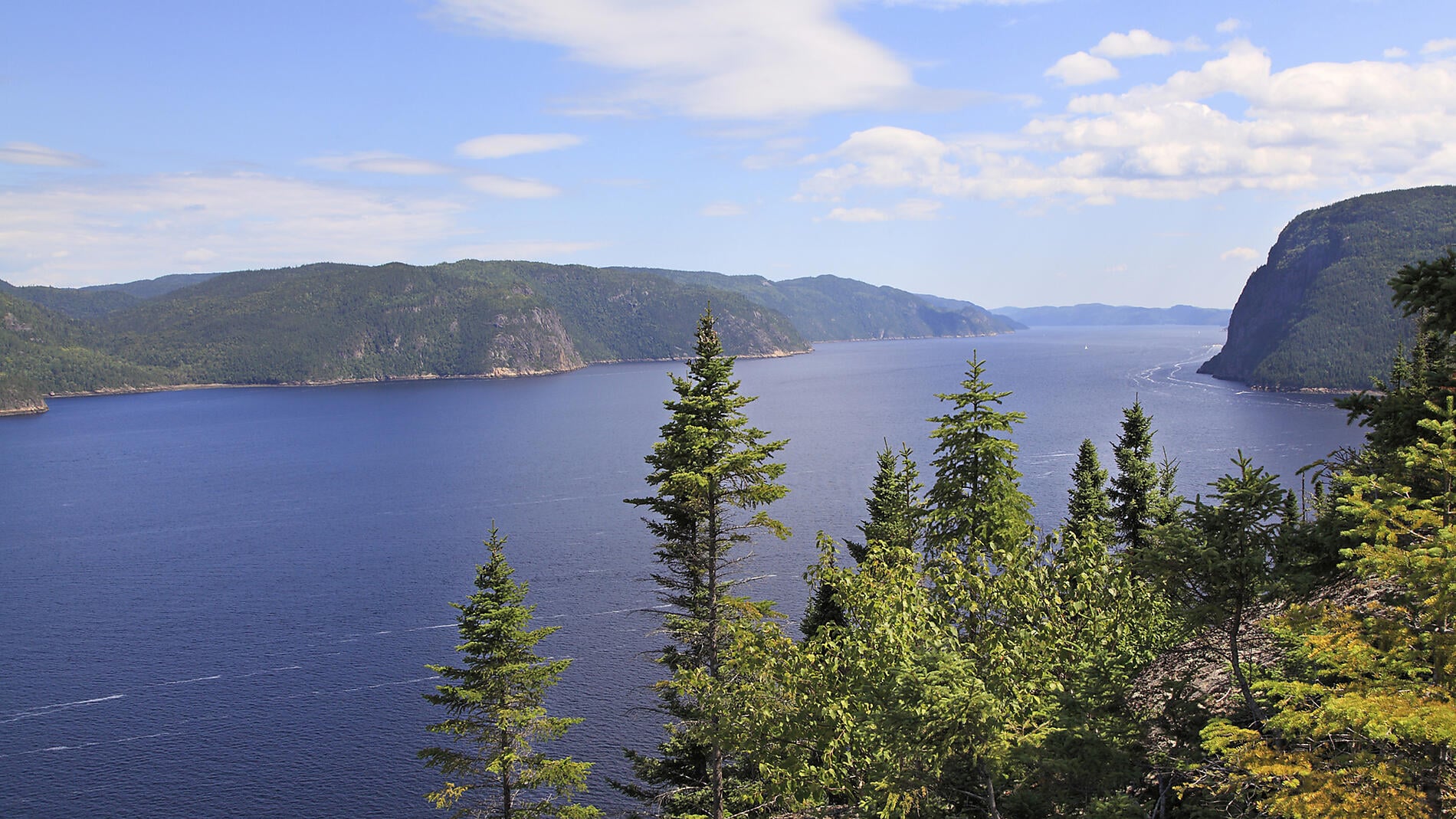 Exploration au gré du Saint-Laurent