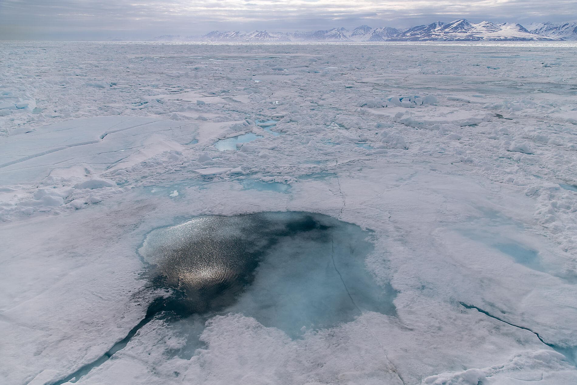 Banquise inexplorée du nord-est du Groenland