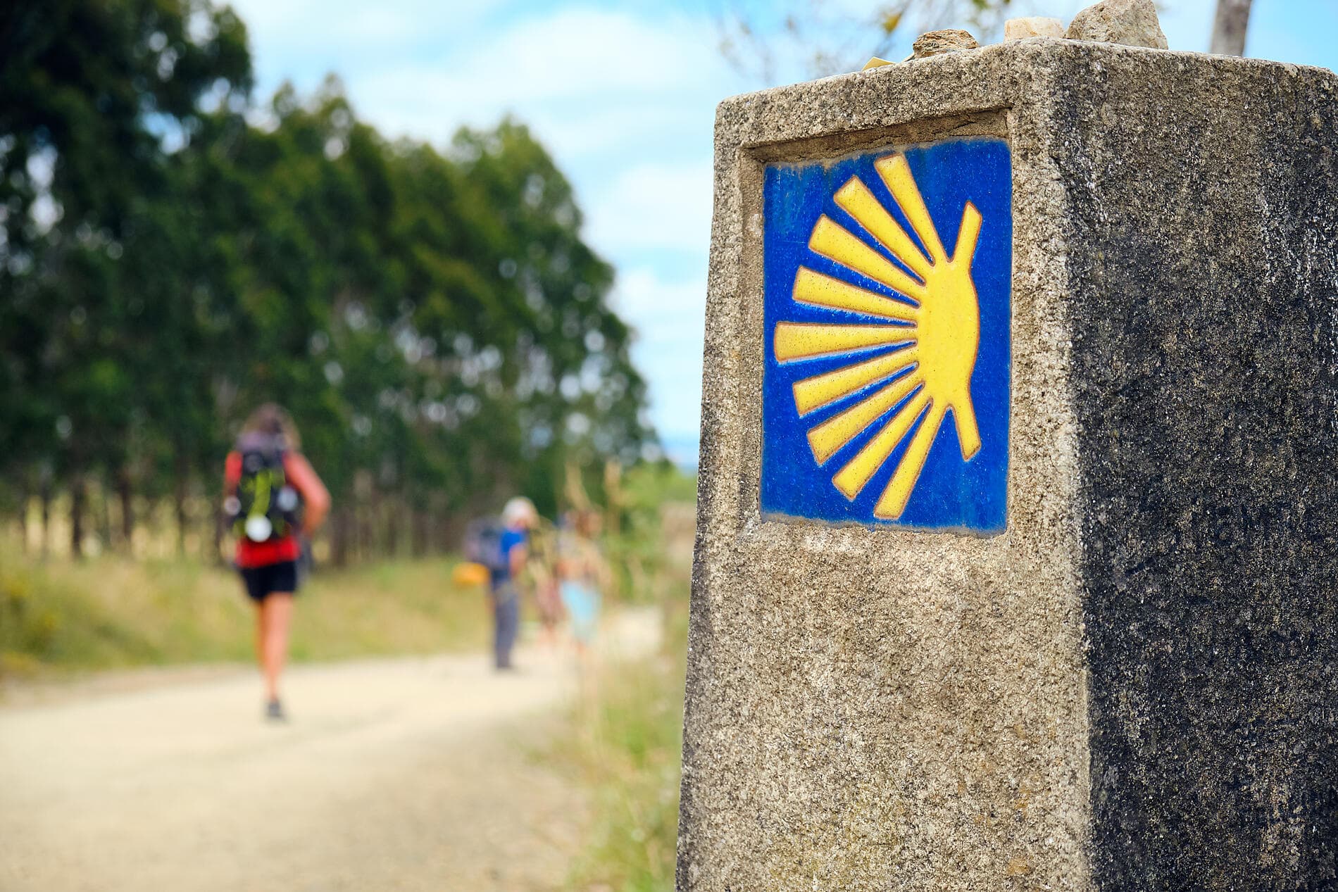La côte Atlantique avec le Ballet de l'Opéra national de Paris