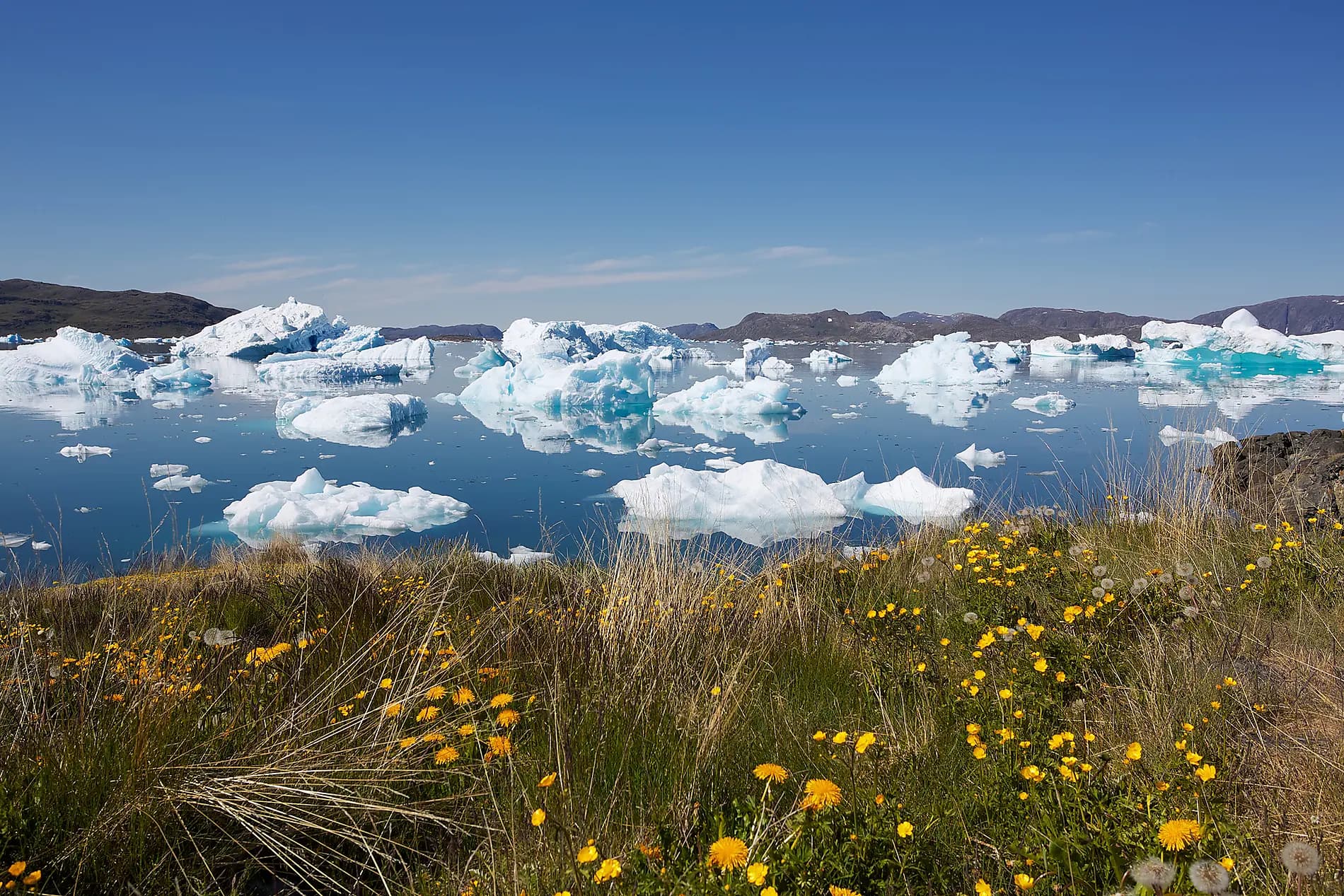 Expédition à la lisière de l'inlandsis